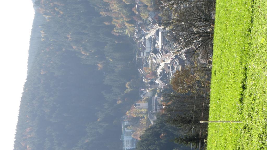 Hotel Zum Baren Triberg im Schwarzwald Zewnętrze zdjęcie